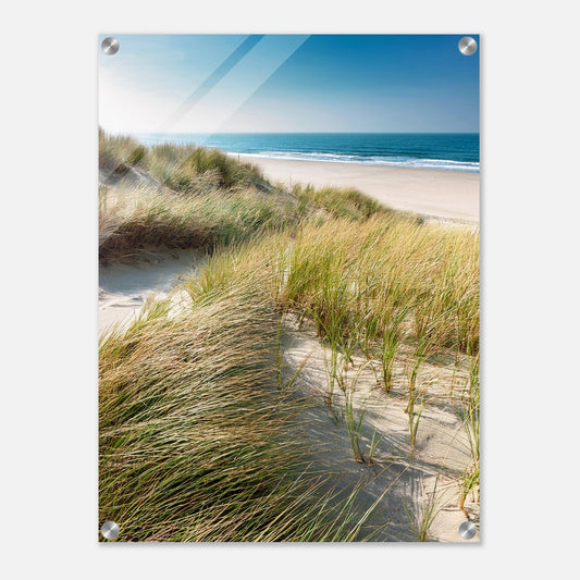 56084277-a248-49a8-81e1-08f99eca06d3