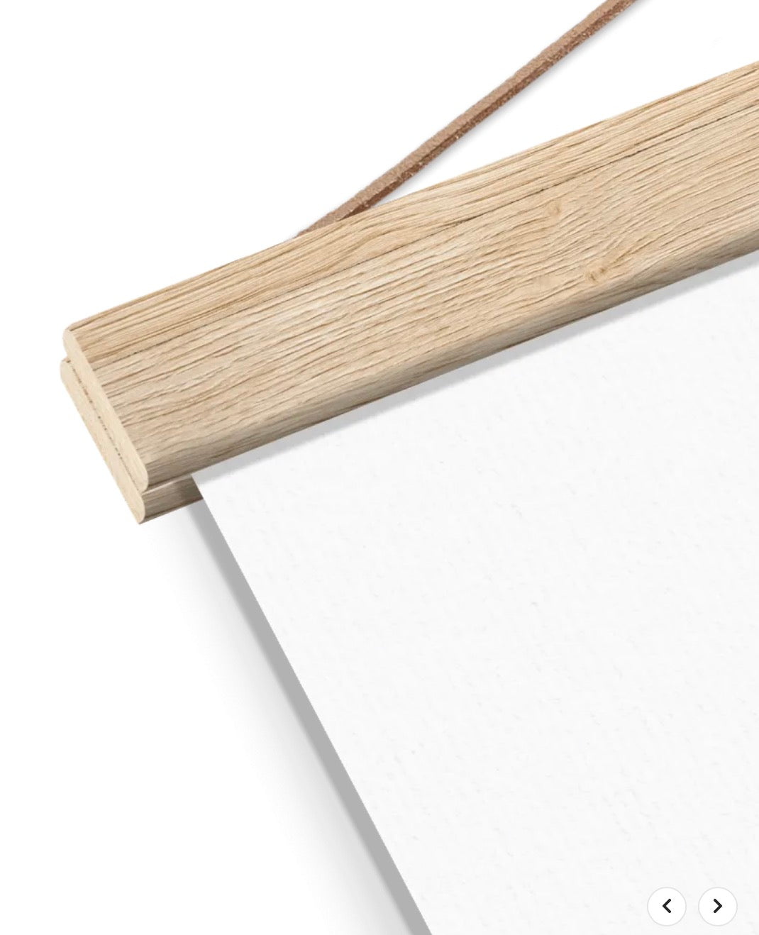 Classic Matte Paper Poster with Hanger