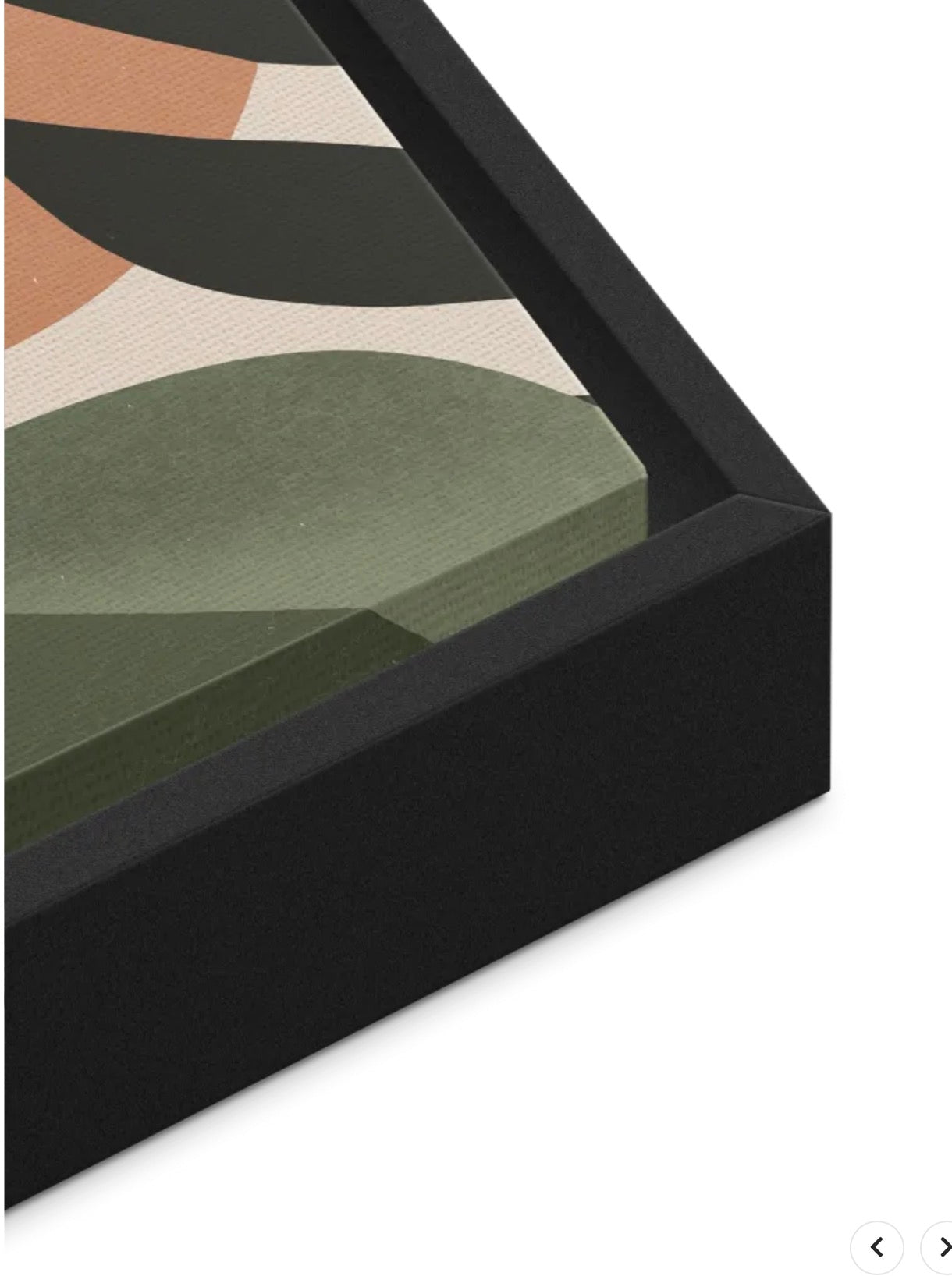 Framed Canvas