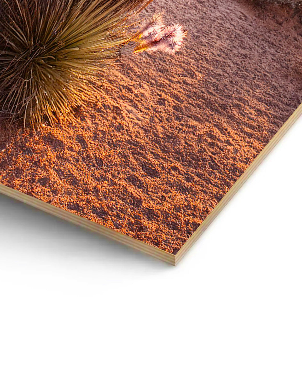 Wood Prints – on Birch Wood