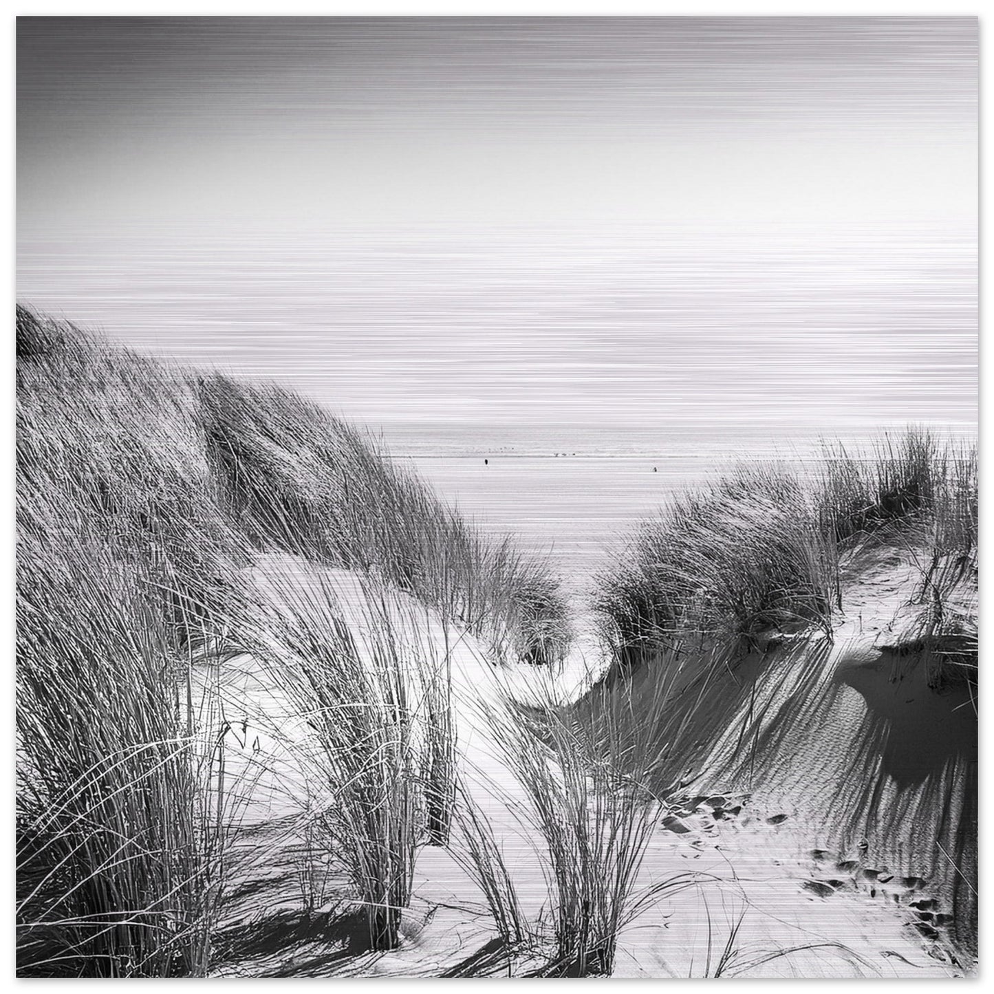 c74b2bfd-2aac-4417-96a9-749cc3ecca03