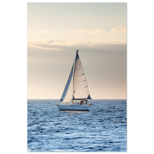 d5f866a9-48f4-45cd-bdfa-86707b7ccc7a