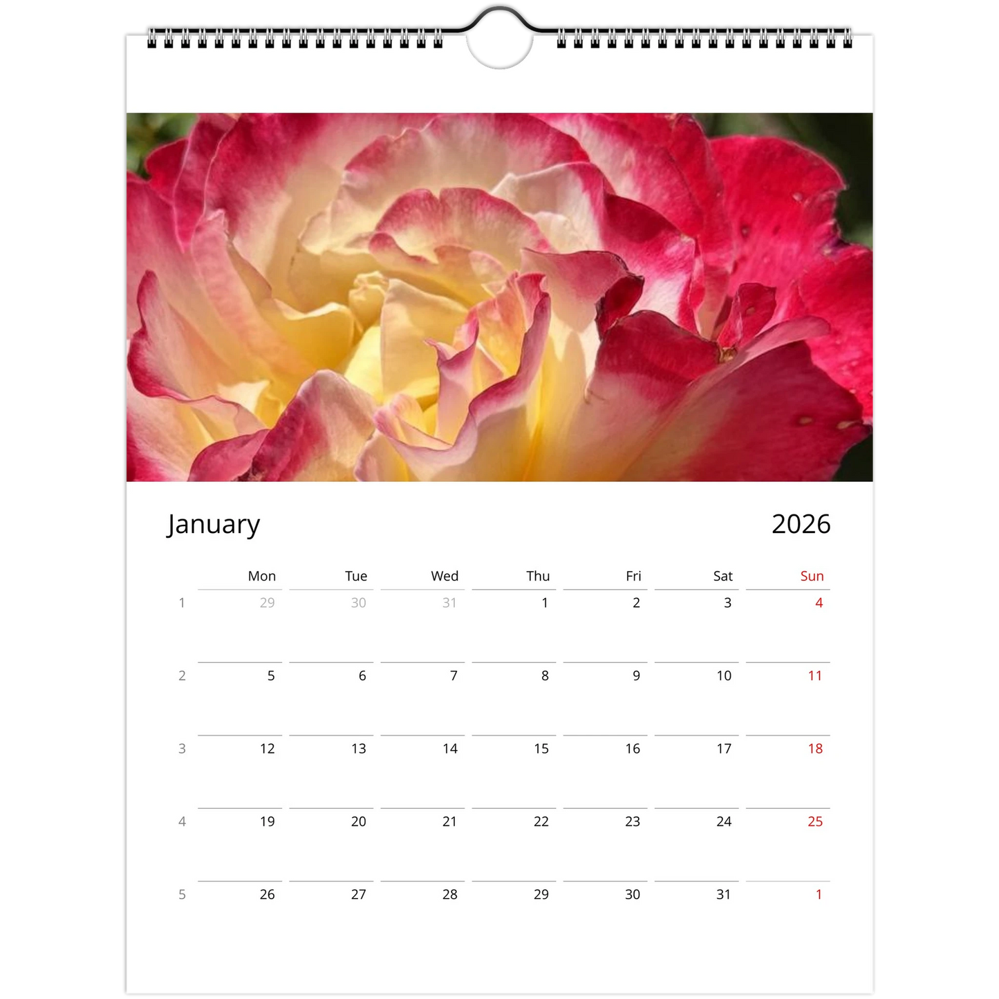 059d4e44-dd23-4ecd-938b-13e7949ac051