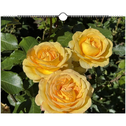 3e13c599-72a5-4f13-8946-d9296bde4c7d