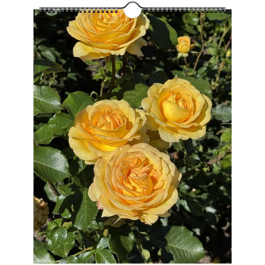 47222e68-0da7-4462-ac43-22b3be8a386b