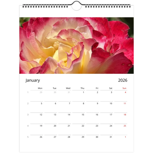 7a415166-5633-4cf0-8ee8-6d08c144e1a6