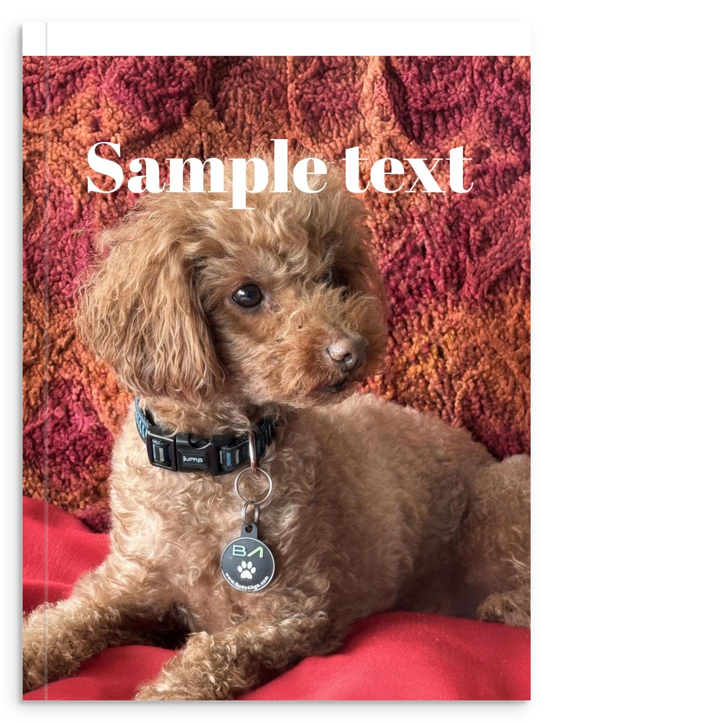 7f1cd531-d521-4765-9ed7-3e536513c078