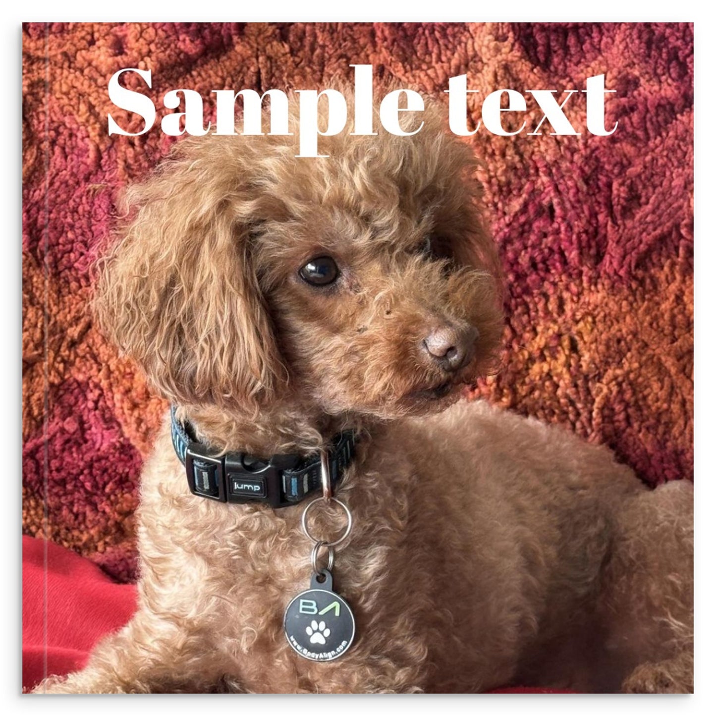 82b9e90a-d37e-4416-9f1d-4d144c5fabb1