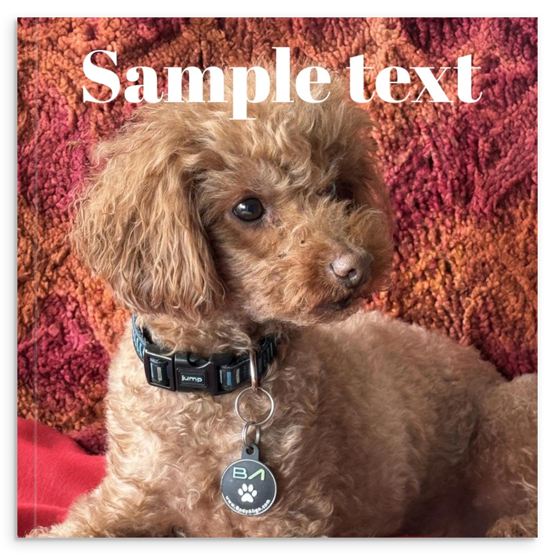 8600c92a-3a9e-46f3-afb5-afacbd978392