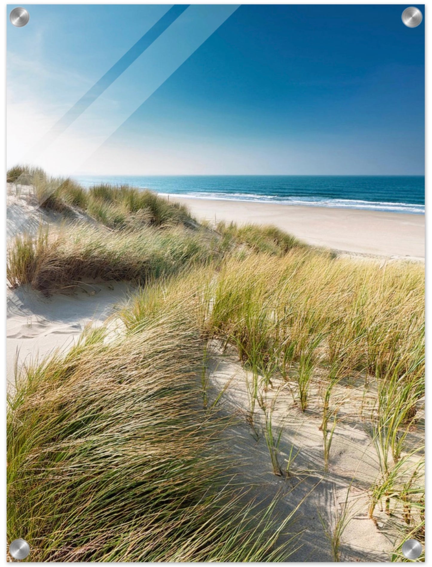 Acrylic Print with Glossy Finish – High-Resolution Art Displays