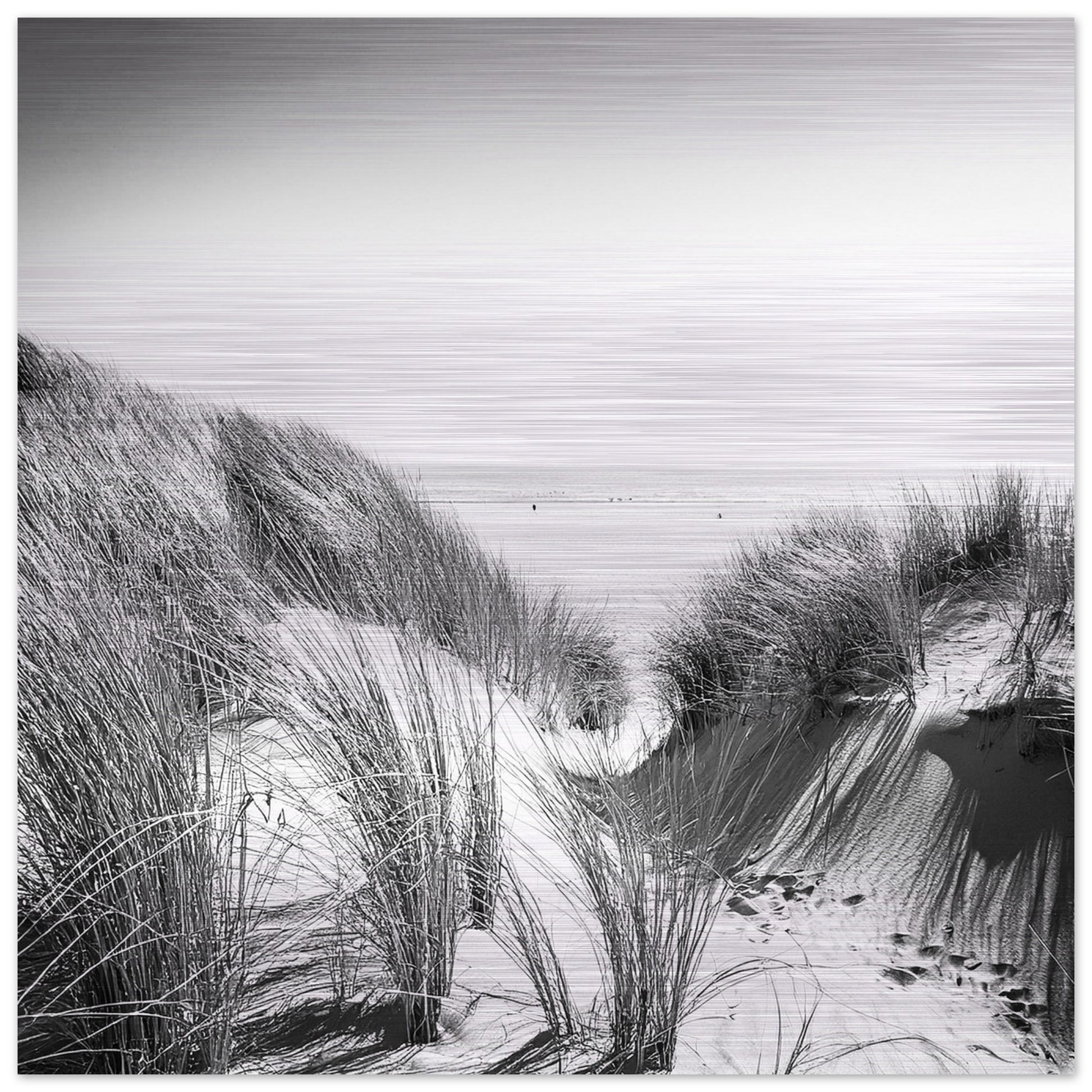 c74b2bfd-2aac-4417-96a9-749cc3ecca03
