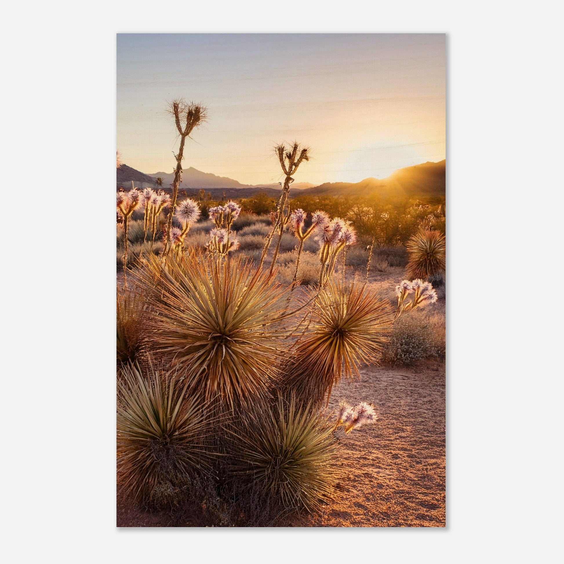 ef05f3dc-1644-4792-856e-c9987d930bde